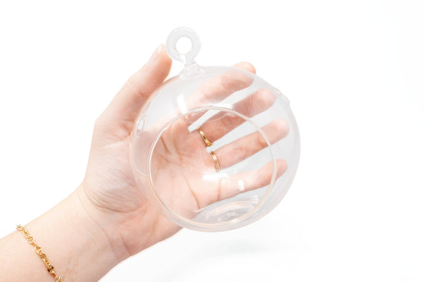 Hanging Flat Bottom Terrariums