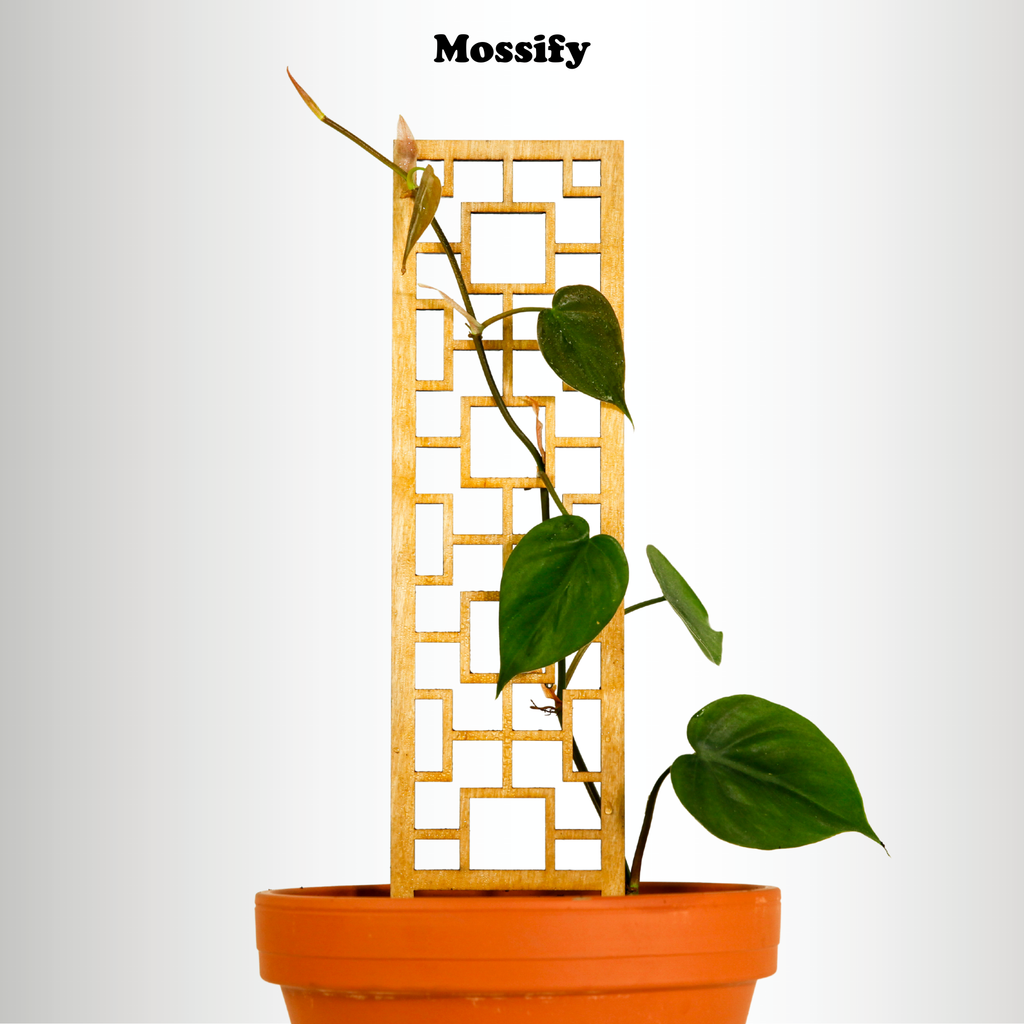wooden trellis for climbing plants Tropical Squares Wooden Trellis