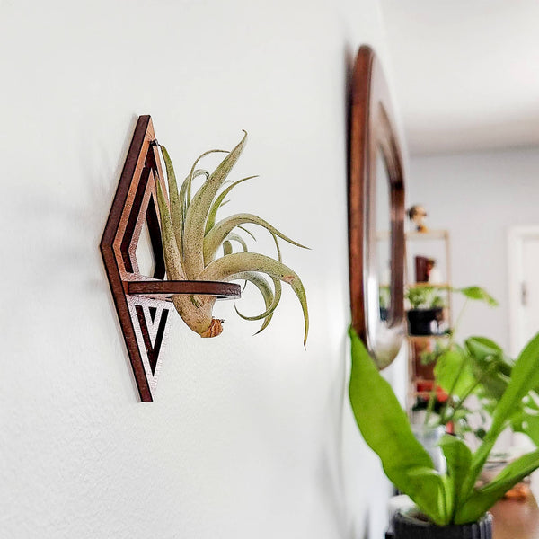 Wooden Air Plant Holder, Diamond