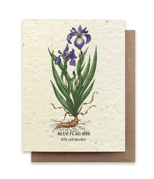 Plantable Seeded Greeting Cards