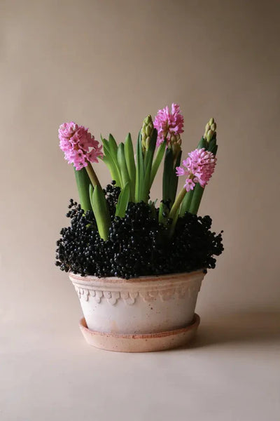 Castle Pot | Raw | Rosa | Low