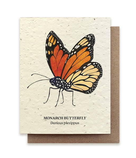 Plantable Seeded Greeting Cards