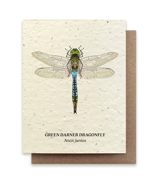 Plantable Seeded Greeting Cards