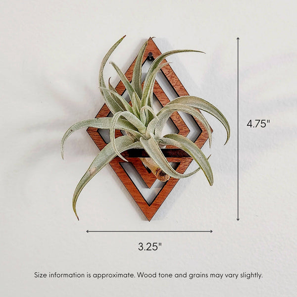 Wooden Air Plant Holder, Diamond