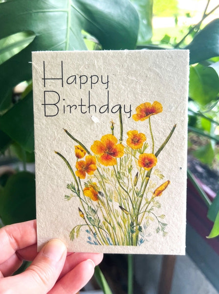 Plantable Seed Cards | Wildflower Seeds