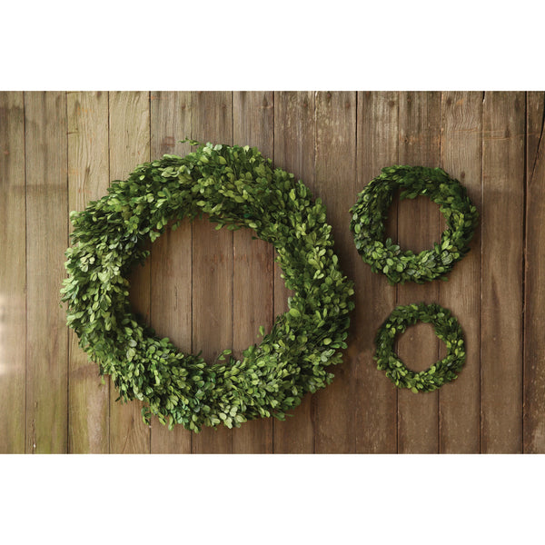 6" Preserved Boxwood Wreath