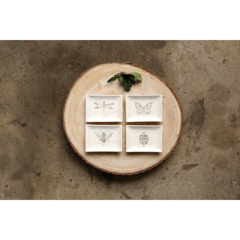 Ceramic Dish w/ Insect