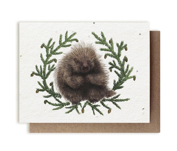 Plantable Seeded Greeting Cards