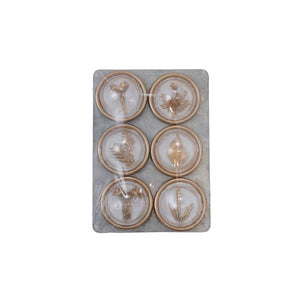Resin Botanical Magnets