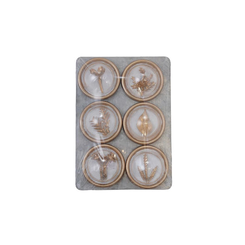 Resin Botanical Magnets