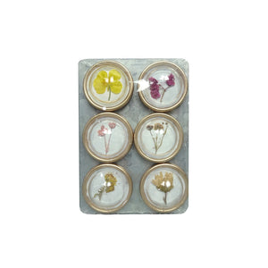 Resin Magnets with Botanicals (Set of 6)