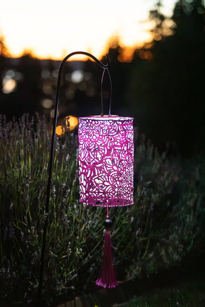 Stella Tassel 28.5" Cylinder Solar Lantern - Raspberry