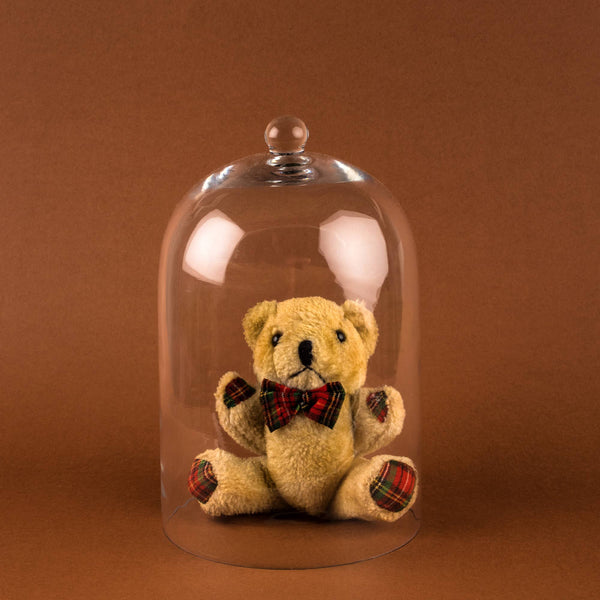 Glass Cloche