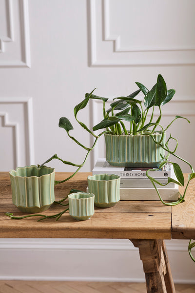 Everleaf Pot