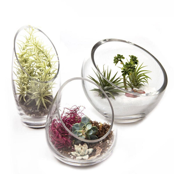 Glass Terrarium Bowls - Asst. Sizes