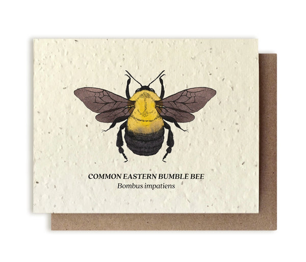 Plantable Seeded Greeting Cards