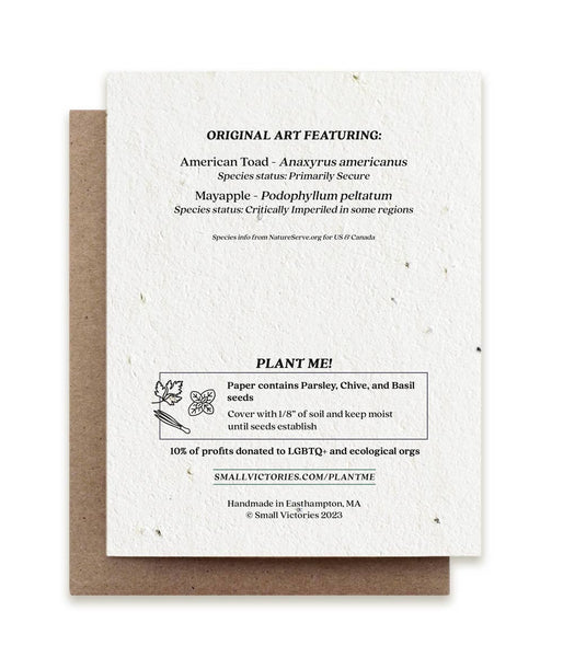 Plantable Seeded Greeting Cards