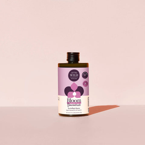 Bloom Concentrate (8 fl oz)