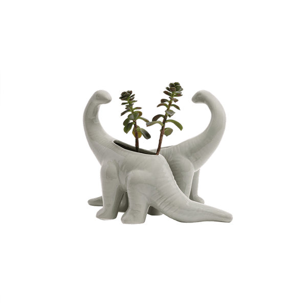 Dinosaur - Ceramic Pots