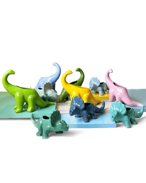 Dinosaur - Ceramic Pots