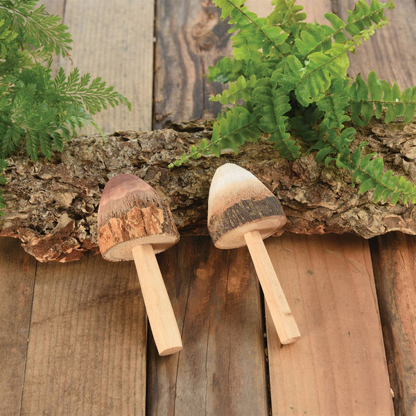 Mushroom, Wood - Brown - Brown