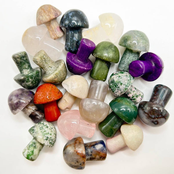 Mini Stone Mushrooms