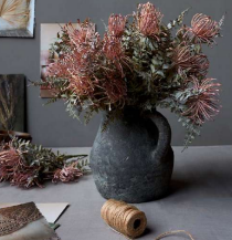 Leucospermum Bush - Artificial Stem