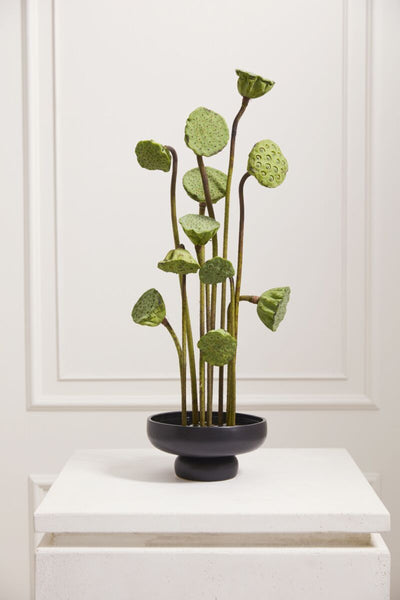 Nightingale Compote | Small