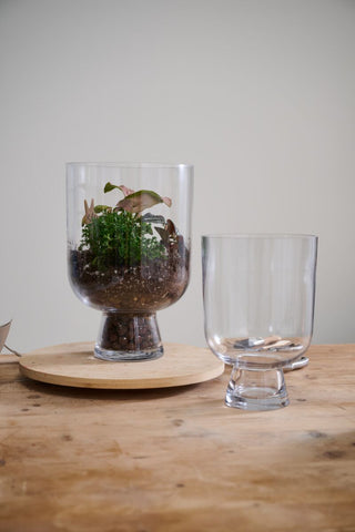 Reservoir Terrarium (2 Sizes)