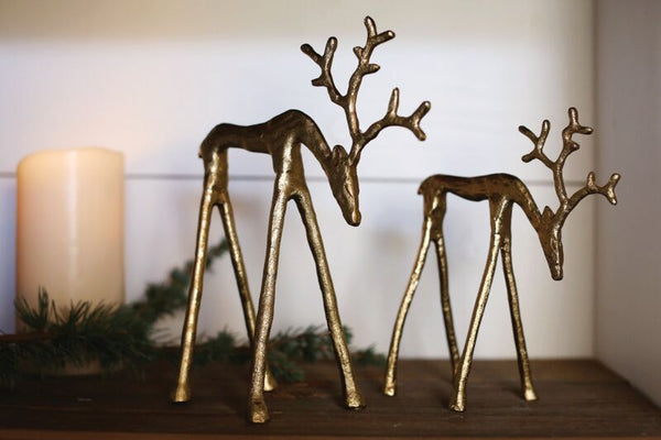 Rex Reindeer
