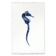 Sea Horse #1