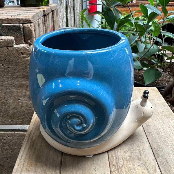 5" Snail or Turtle Planter - Assorted Colors