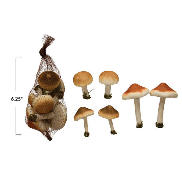 Mushrooms w/ Moss in Mesh Bag, Brown & Cream Color