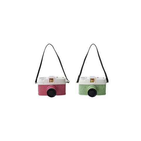 Resin Camera Ornament