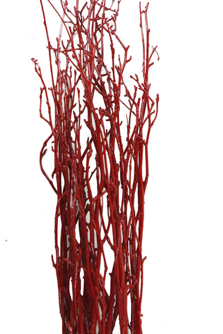 Birch Tips Painted Red