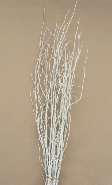 Birch Tips Painted White Small – Lichen or Knot Plant Company LLC