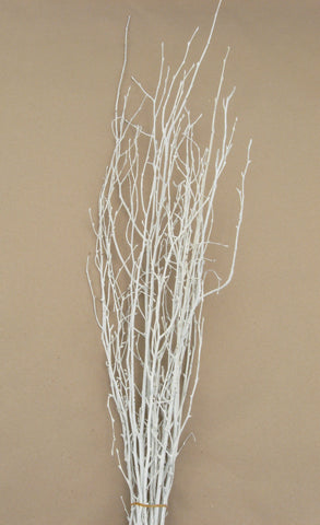Birch Tips Painted White Small