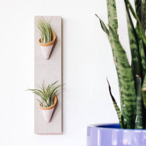 Double Ceramic Wall Planter - Speckled White