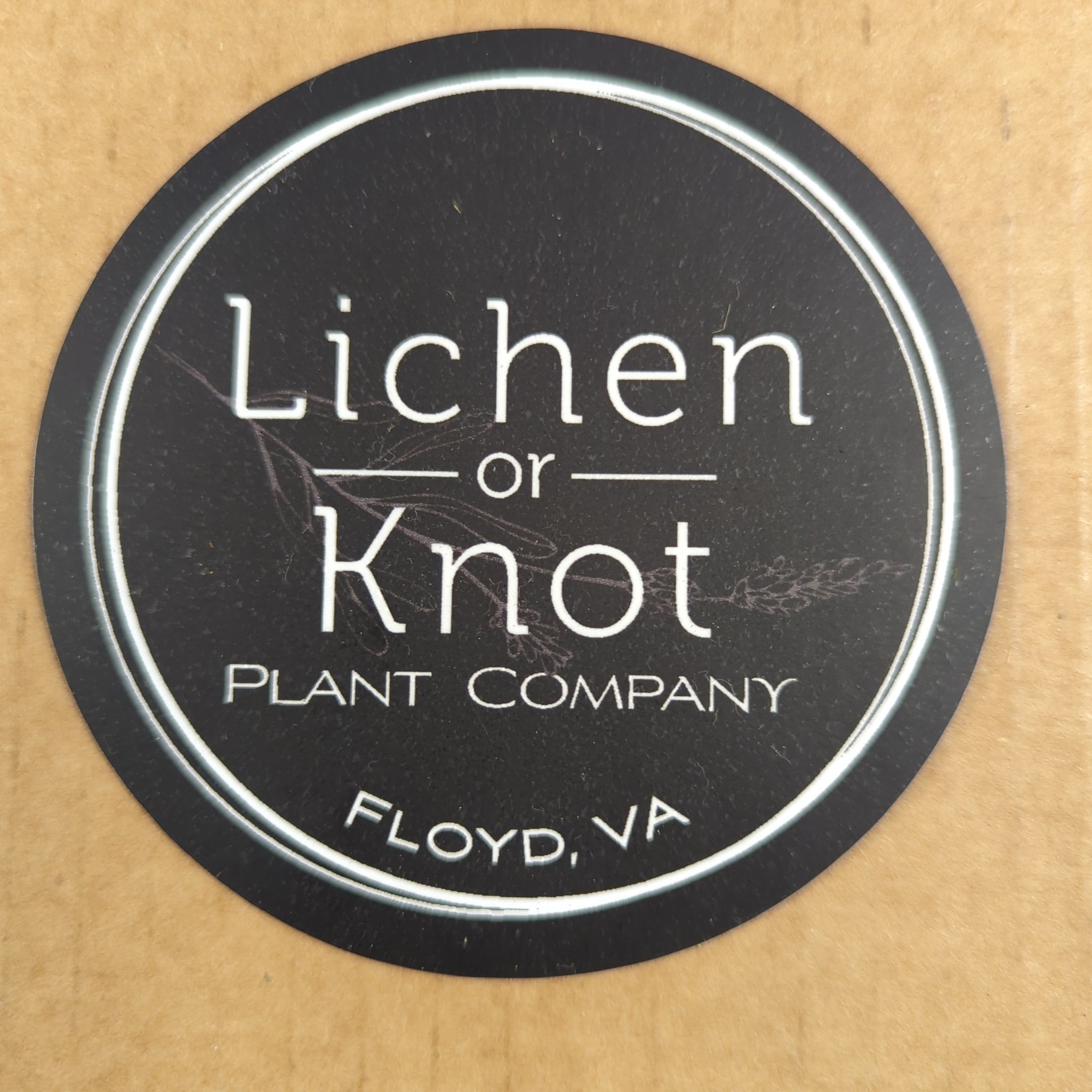 Lichen Or Knot Sticker
