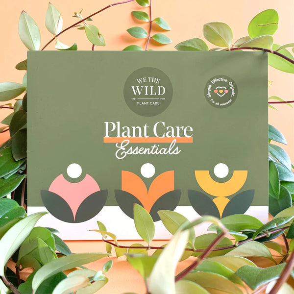 Essential Plant Care Kit