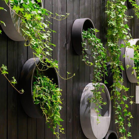 black wall hanging planter Wally (hanging) M Fiberstone Black