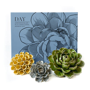 Day | Ceramic Flower Gift Set