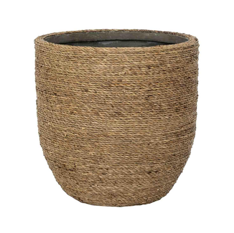 Cody S, Straw Grass