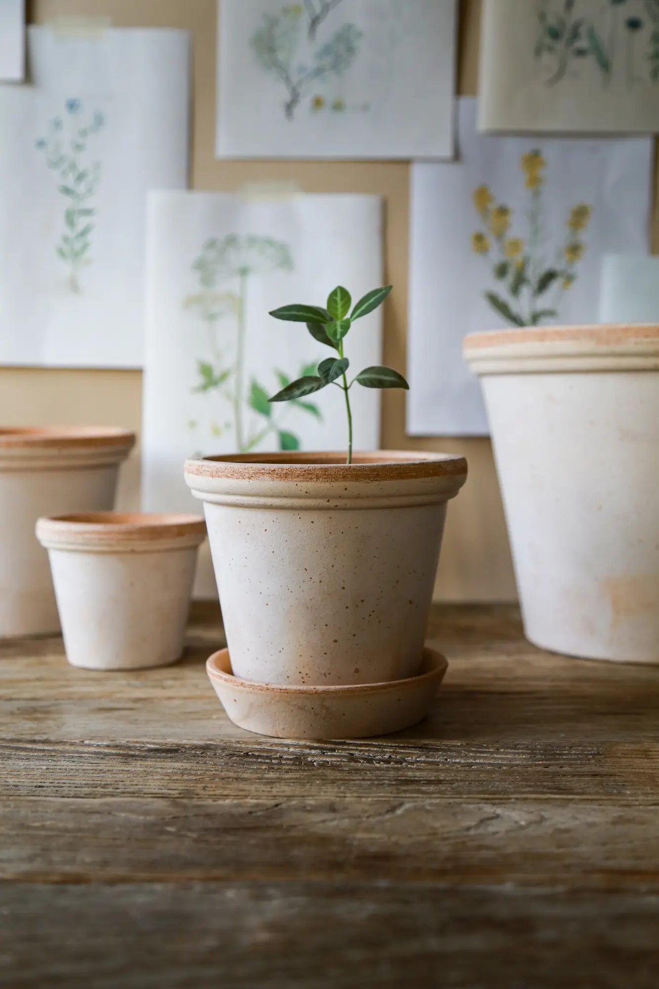 house plant pots with saucer Flora Pot