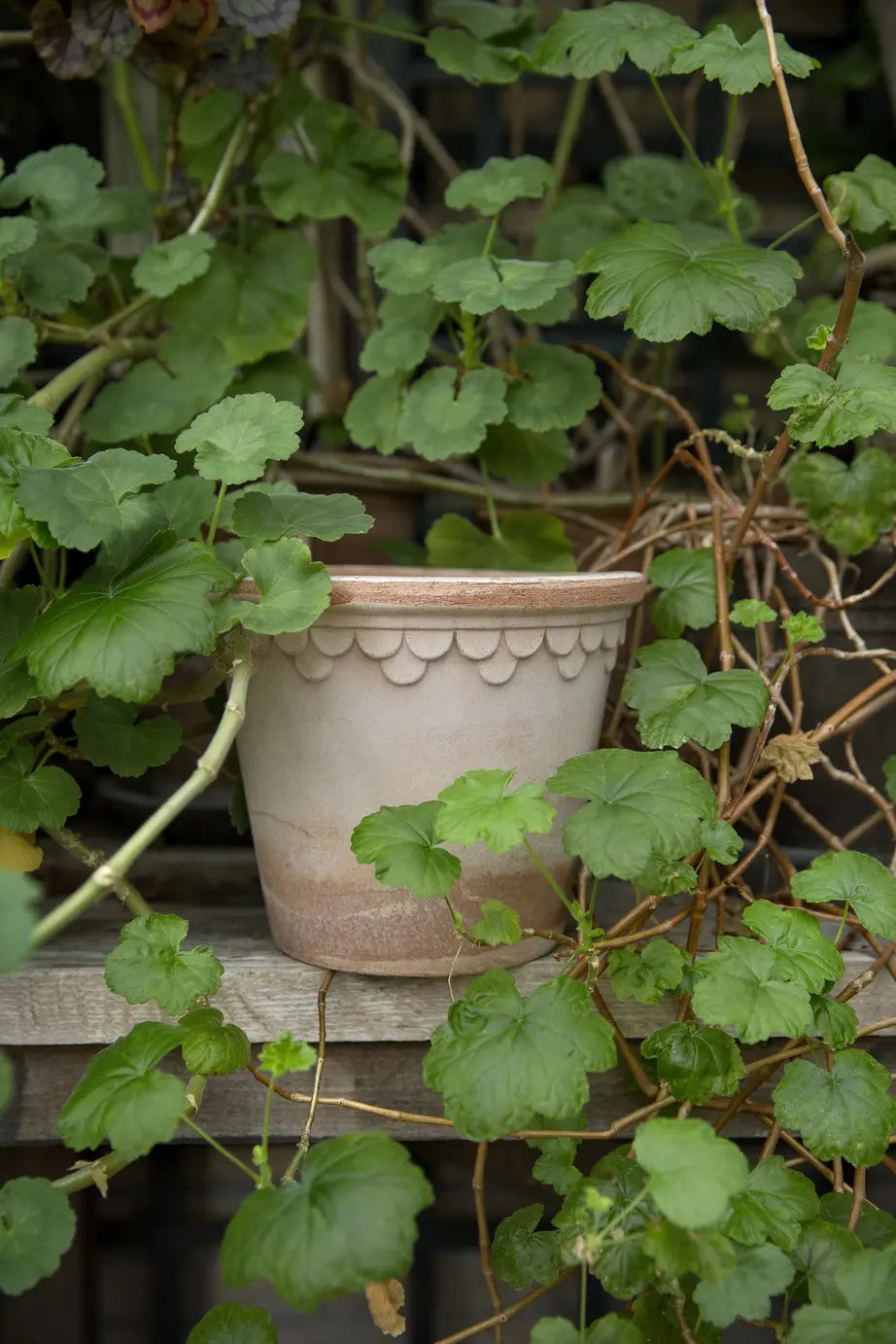 The Castle Pot | 5" or 14cm