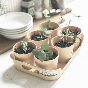 Sustainable Eco-Planter Herb Pot with Tray Set of 6