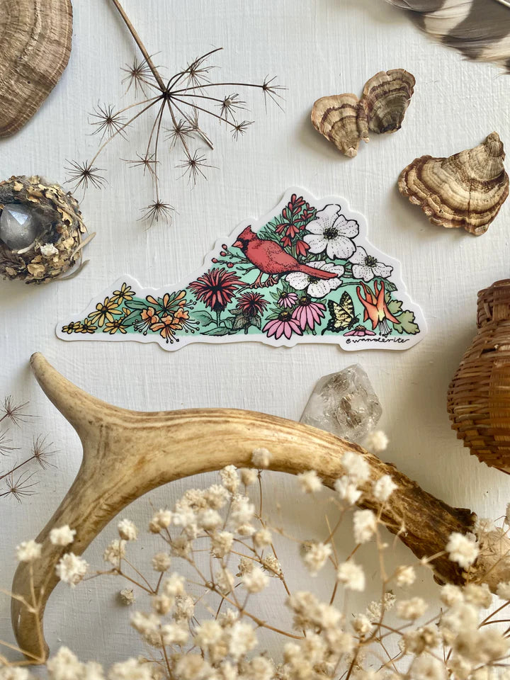 Sticker Virginia Native Plants – Lichen or Knot Plant Company LLC