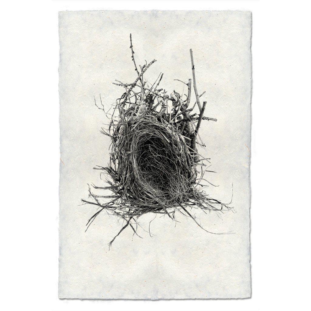 Nest #12