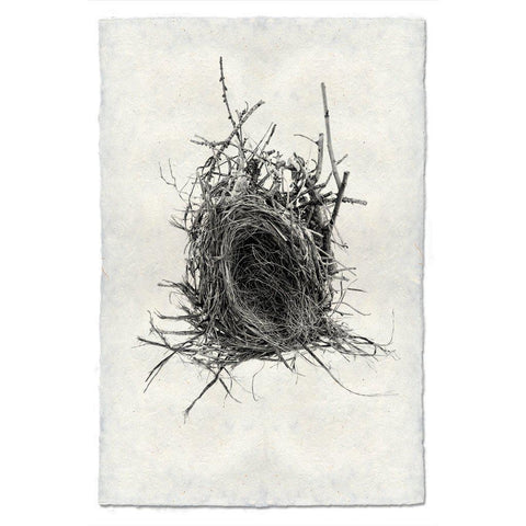 Nest #12